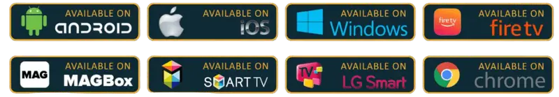 12 months subscription proiptv premium tv service
